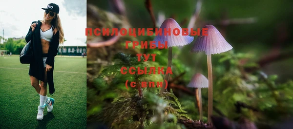 бошки Армянск