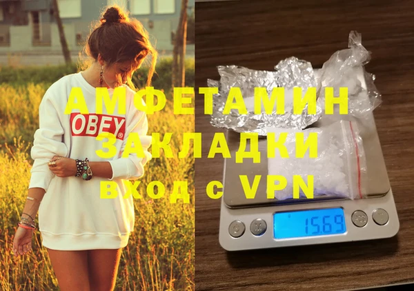 шишки Алзамай