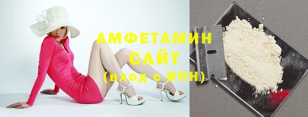 шишки Алзамай